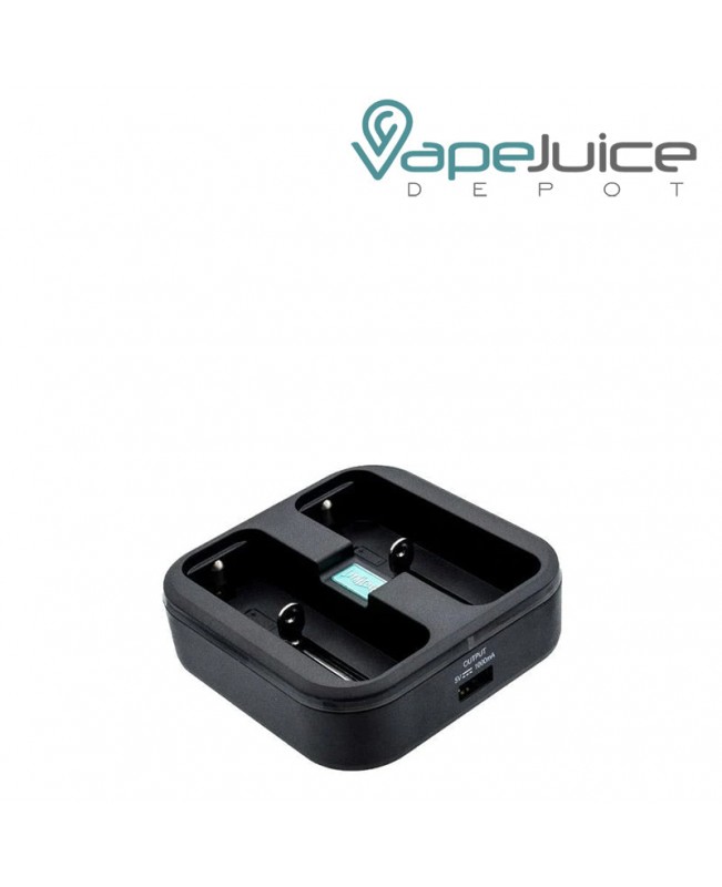 LITHICORE Pulse 2-Bay Battery Charger